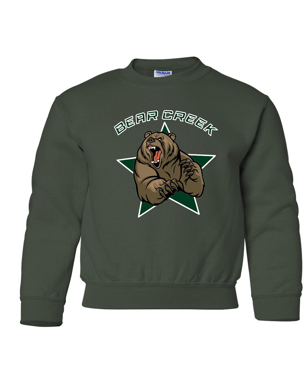 Thumbnail: Youth Sweatshirt