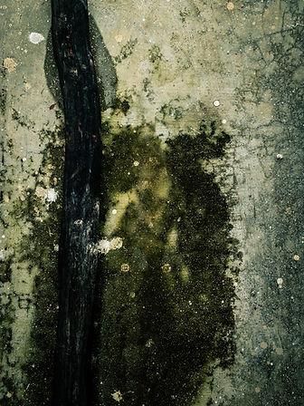 t_h_e_h_i_d_d_e_n_-t1MpJr_f3dY-unsplash.jpg