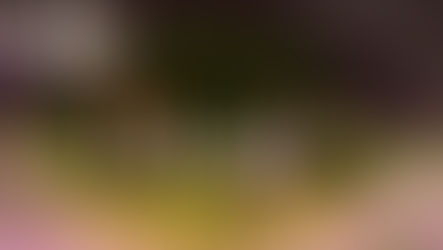 Sweet Unrest to release 'Falling For You' on 7" vinyl via No Distance Records