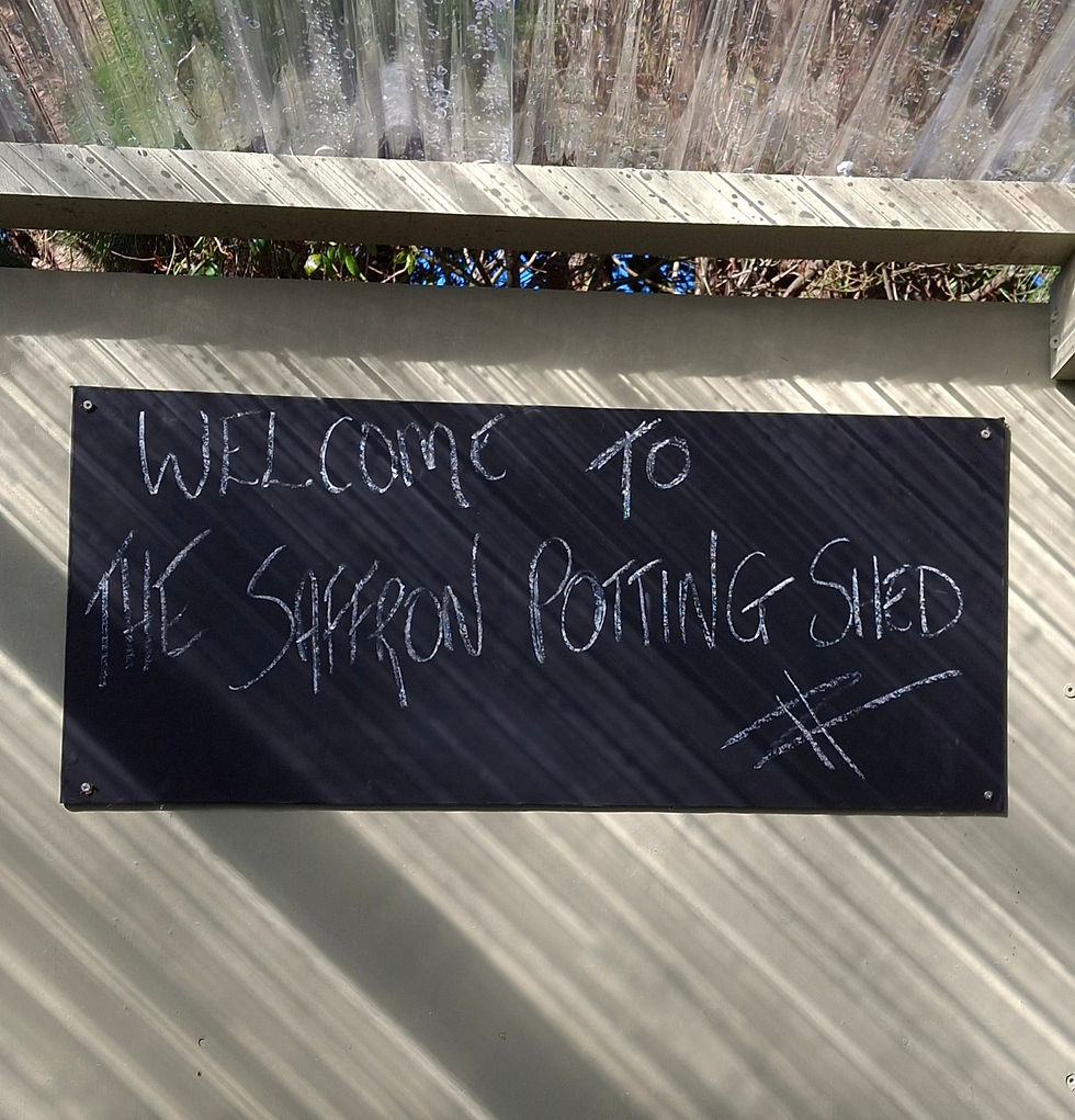 The Saffron Potting Shed