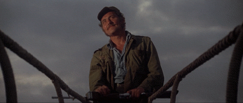 51f4b8_0c8c5cb9e60f436c8b82ae83918ee657~mv2.gif