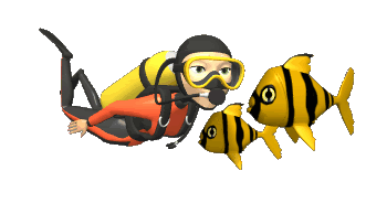 SpotlessEmptyGoral-max-1mb.gif