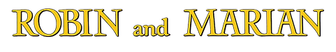 2d5886b6-d758-4b87-b922-d369bbc490bf_edited.png