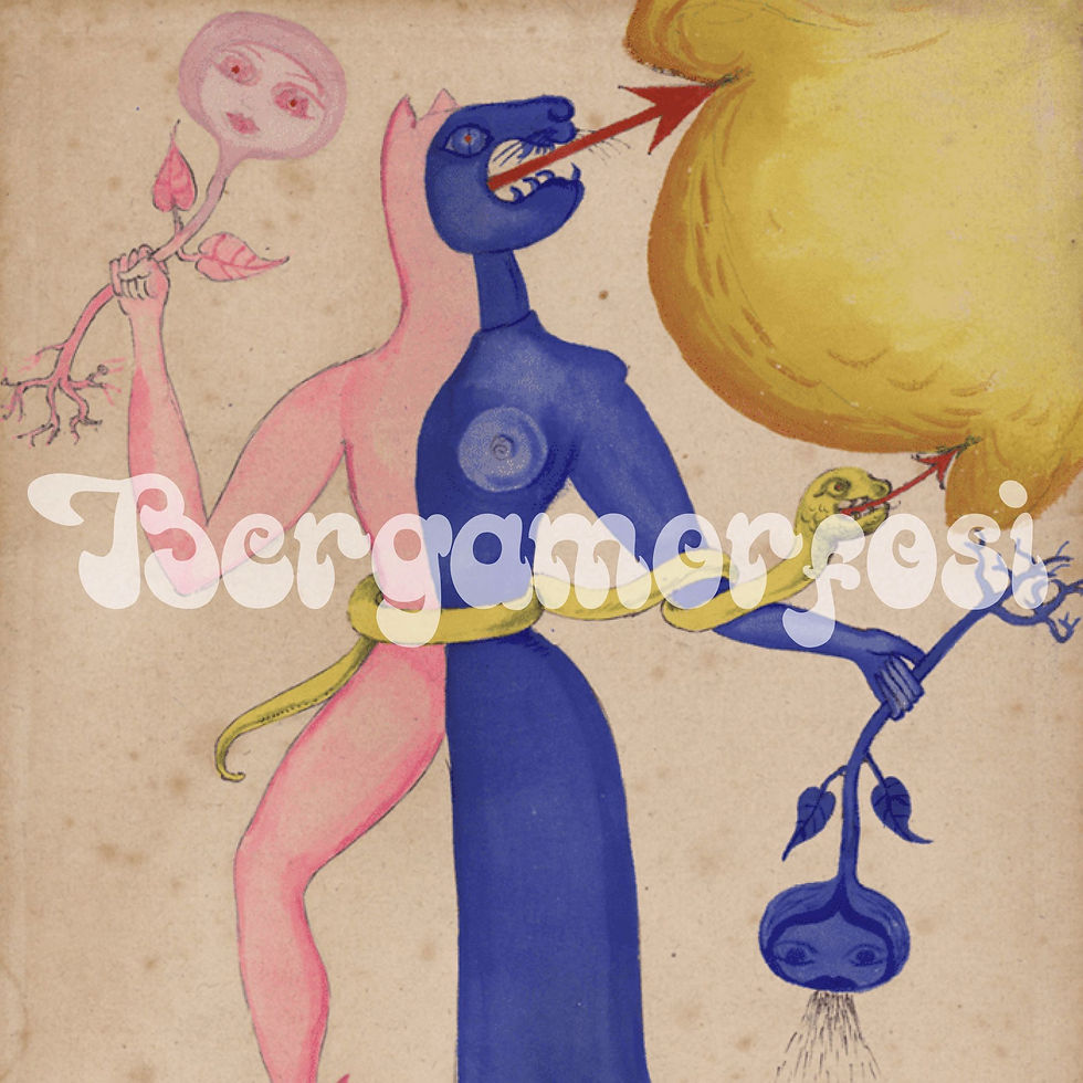 BERGAMORFOSI