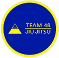 NEWTEAM48logo_edited.png