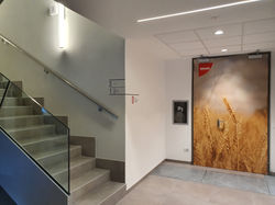 Infografiche Pastificio Felicetti