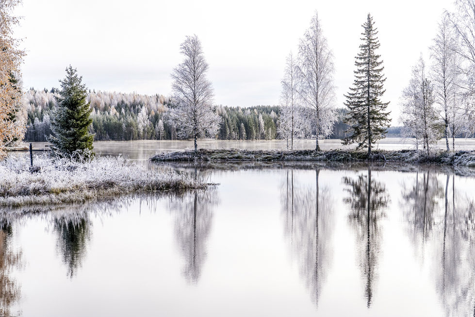 a small island in the middle of a lake surrounded by snow covered trees