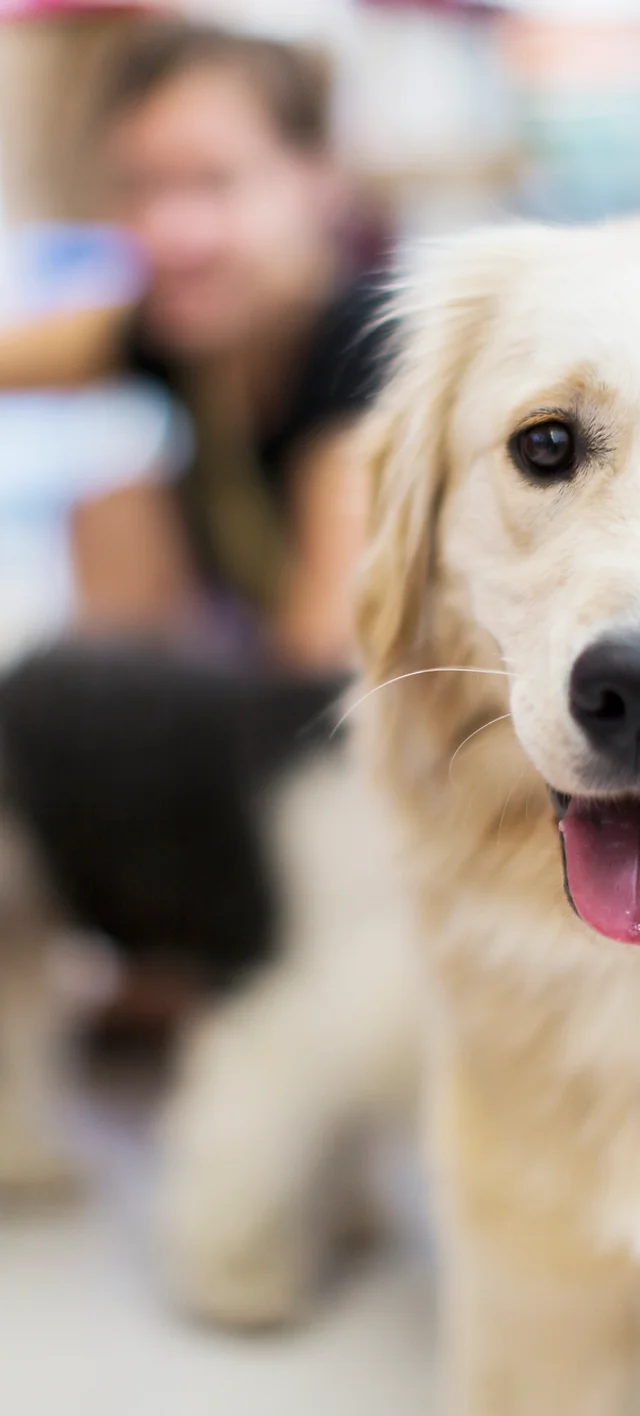 Home Full Circle Holistic Veterinary Care