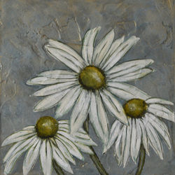Daisies