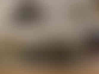 Truffle shopping in Croatia, Istrian peninsula