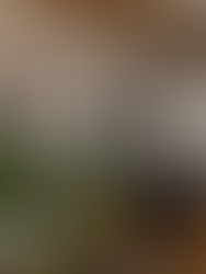 Lounge area onboard super yacht EMIR 