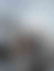 Guests disembarking LADY GITA yacht in Croatia