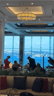 Swissôtel The Bosphorus panoramic view