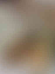 Luxury yacht REPOSADO and dining table with welcome snacks