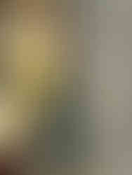 Exploring Croatia's cultural heritage