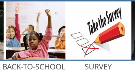 Join the PNN Cleanup Crew and Share Your Voice in Our Activism Survey