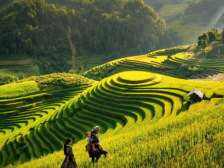 Ta Van Village in Sapa – Rice Terraces, Homestays, and Honest Tips