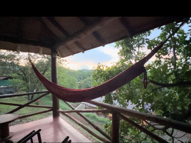 My First Ayahuasca Experience: A journey through the good, the bad, & the ugly.