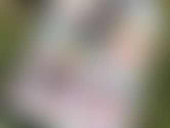 Self Love Means Knowing What Matters