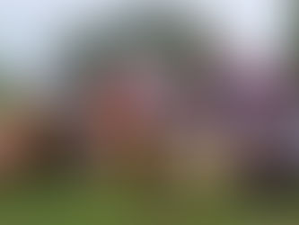 Unfolding the Journey: The Triumph of Praise at a Poetry Competition