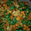 Thumbnail: Candied Popcorn