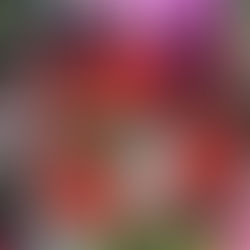 La razón por la que el día del 'Amor y amistad' se celebra en septiembre