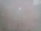 Crema Marfil