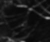 Mármore Nero Marquina