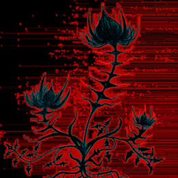 "Thistle" glitch-core version