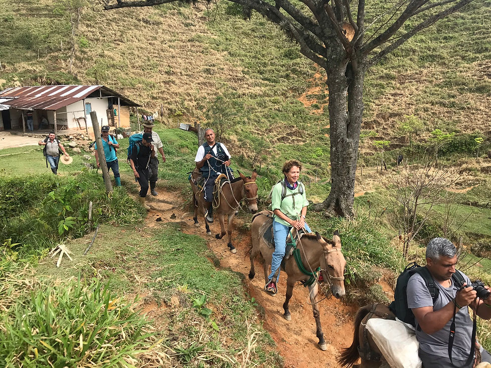 Camino Ancestral El Carrizal