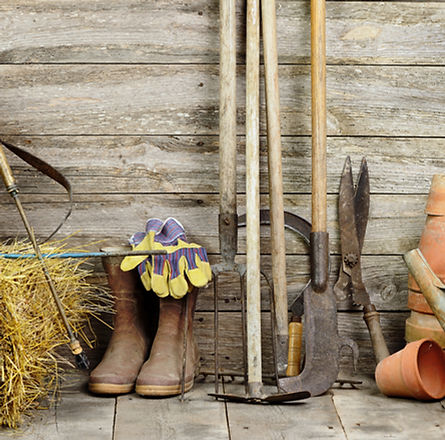 Garden Shed