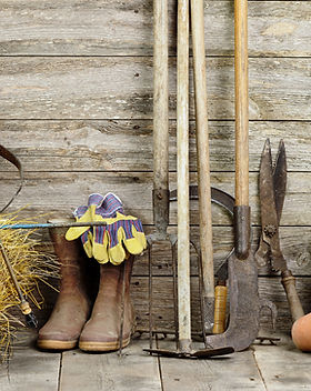 Garden Shed