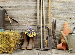 Garden Shed