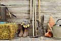 Tremplin abris de jardin