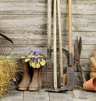 Garden Shed