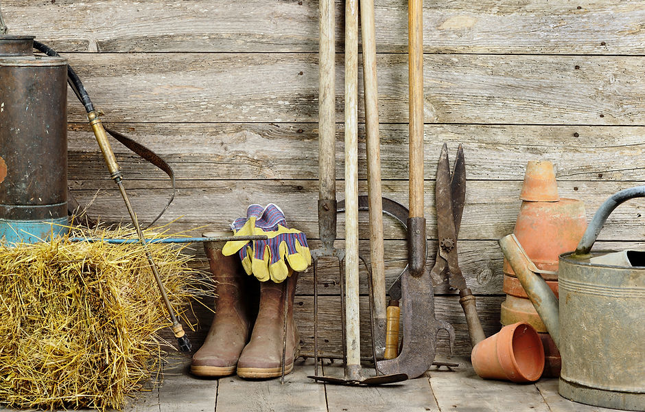 Garden Shed