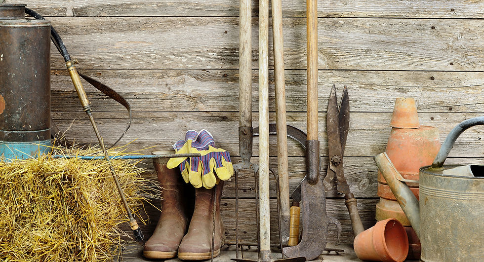 Garden Shed
