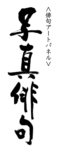 オンライン講座 デザインアップ