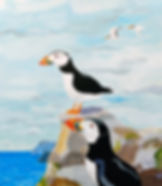 Atlantic Puffins