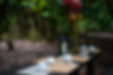 _INS6832 by Inspira Productora.jpg
