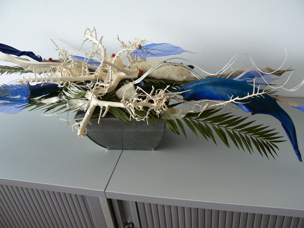 suche1000043.jpg