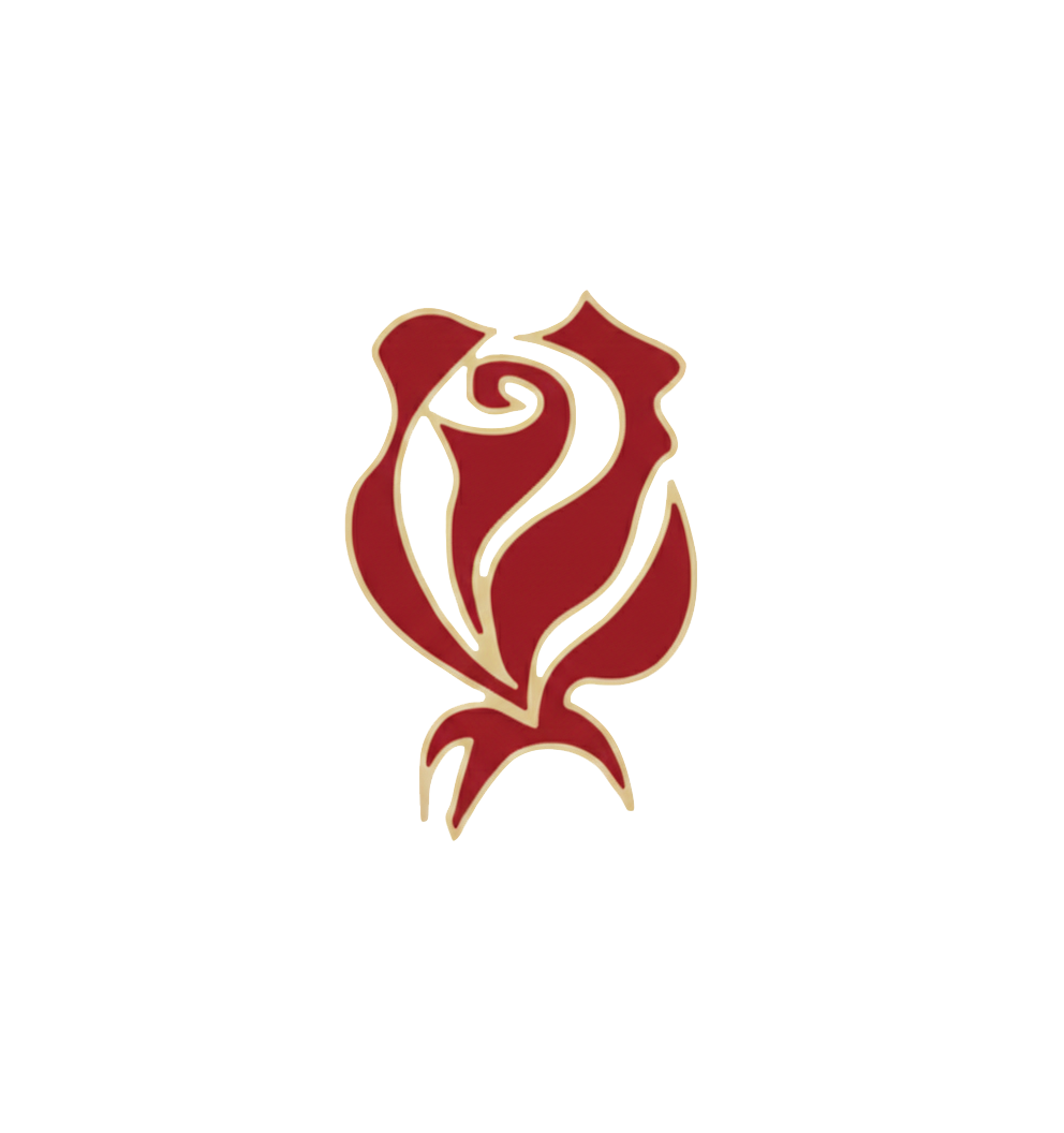 Obrázek autora: Pražská růže