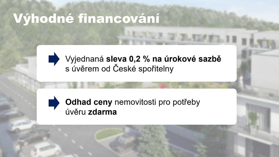 Developerské projekty