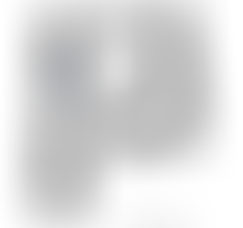 Developerské projekty