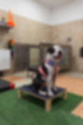 Rehabilitace2