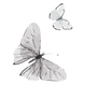 Butterflies
