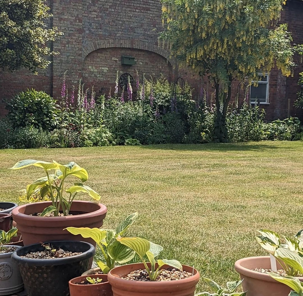 Wide angle view of vibrant flower beds in Bardney Manor Walled Garden