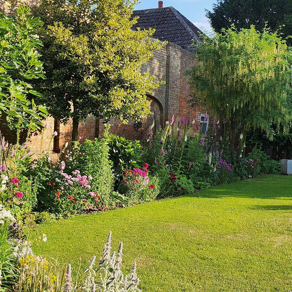 High angle view of lush garden space with blooming flowers