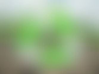 La revolución agrícola que viene: ¿orgánica o regenerativa? El caso California