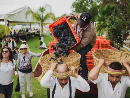 En medio de incertidumbre mediática, enoturistas planifican agenda para el valle de Guadalupe en 2026
